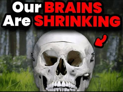 Our Brains Are Shrinking meme template