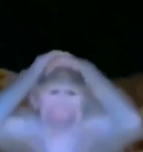 Confused Monkey GIF meme template
