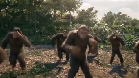 Dancing Monkeys GIF meme template