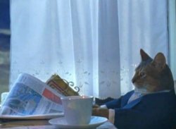 I Should Buy A Boat Cat meme template