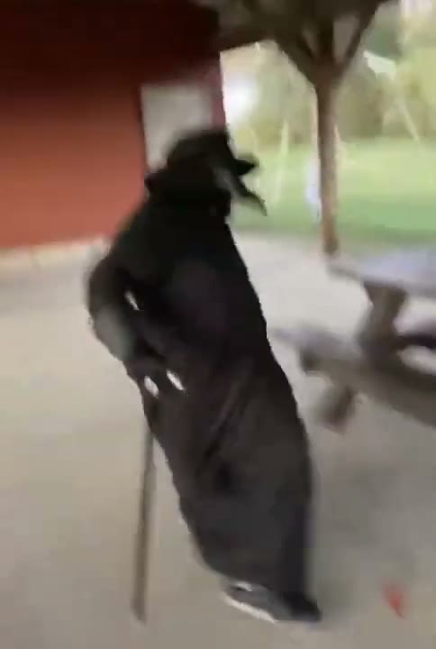 Plague Doctor Gangsta's Paradise GIF meme template