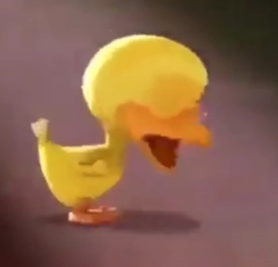 Crying duck GIF meme template