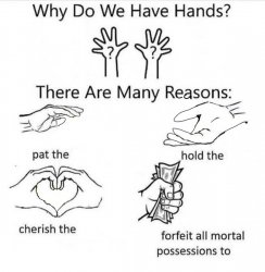Why Do We Have Hands meme template