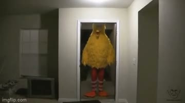 Big bird kicks down a door GIF meme template