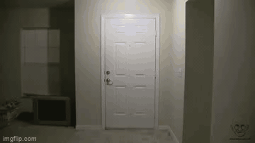 Big bird kicks down a door GIF