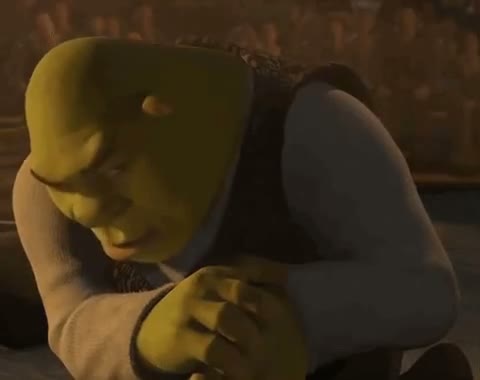 shrek rizz GIF meme template