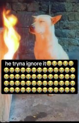 he tryna ignore it meme template